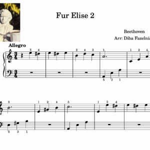 ۲ فور الیز- fur elise 2