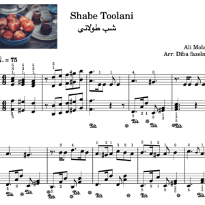 شب طولانی- shabe toolani